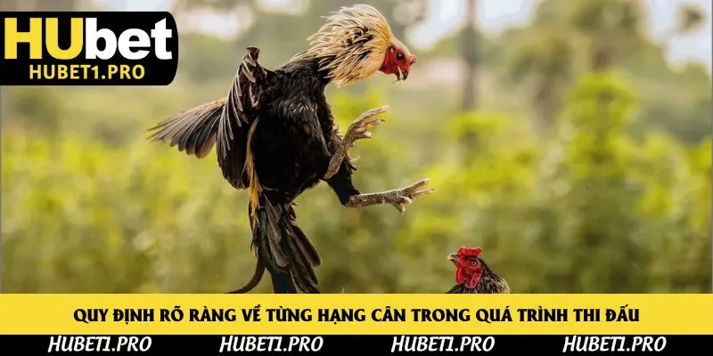 Quy định rõ ràng về từng hạng cân trong quá trình thi đấu