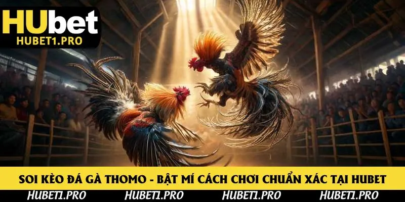 Soi kèo đá gà thomo